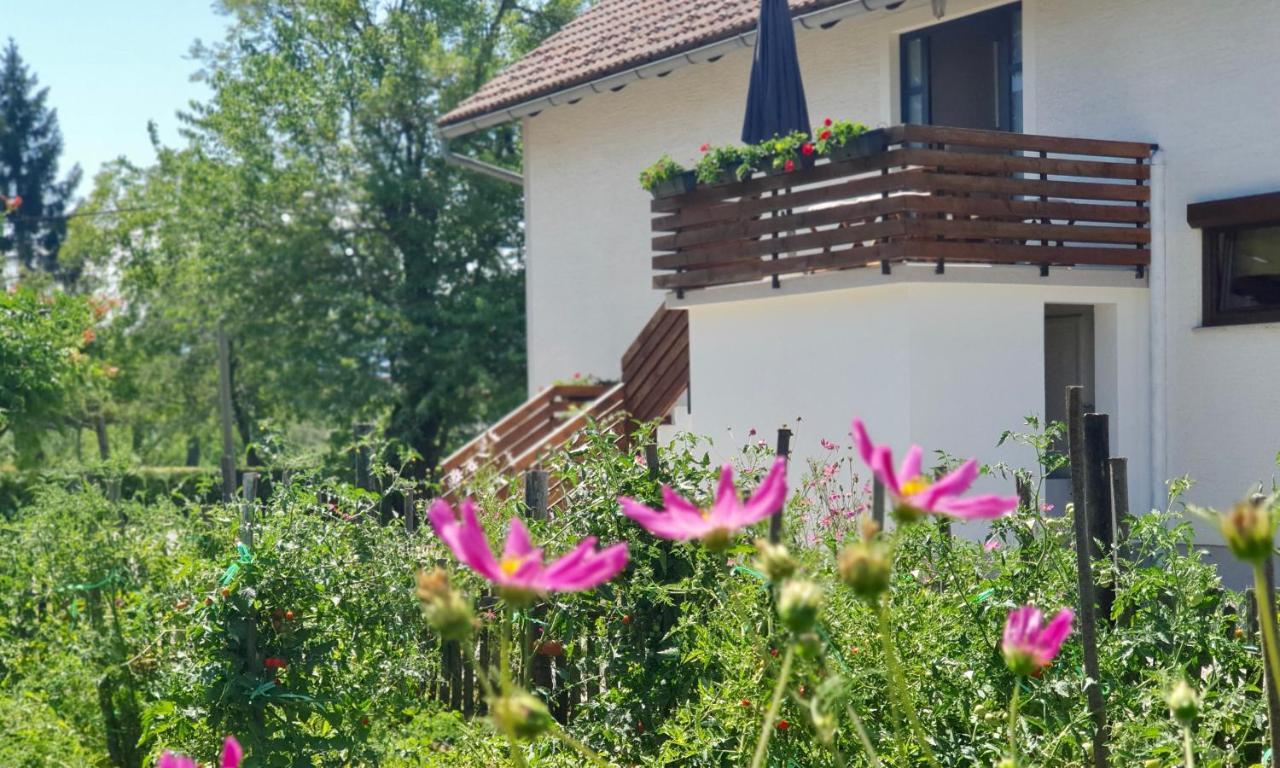 Apartment Murva Drežnik Grad Εξωτερικό φωτογραφία