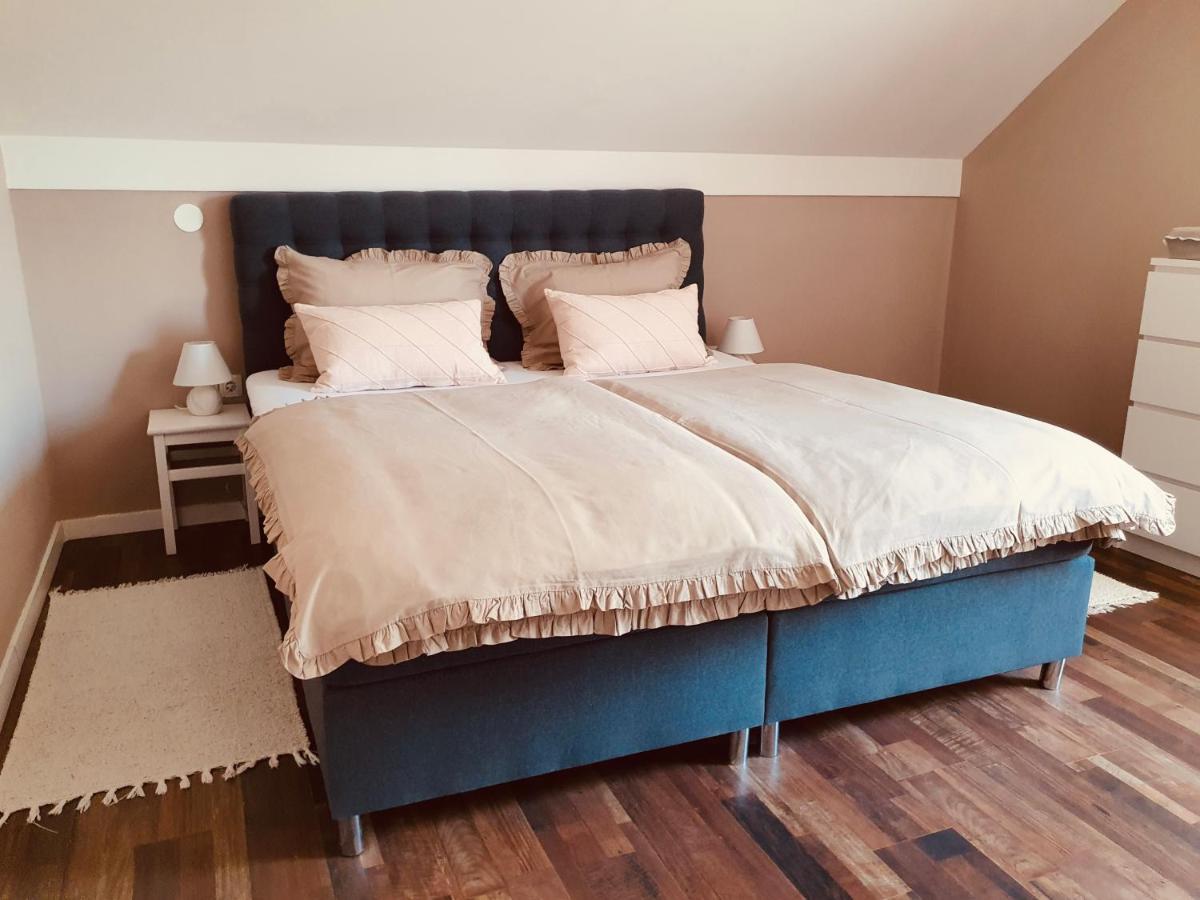 Apartment Murva Drežnik Grad Εξωτερικό φωτογραφία