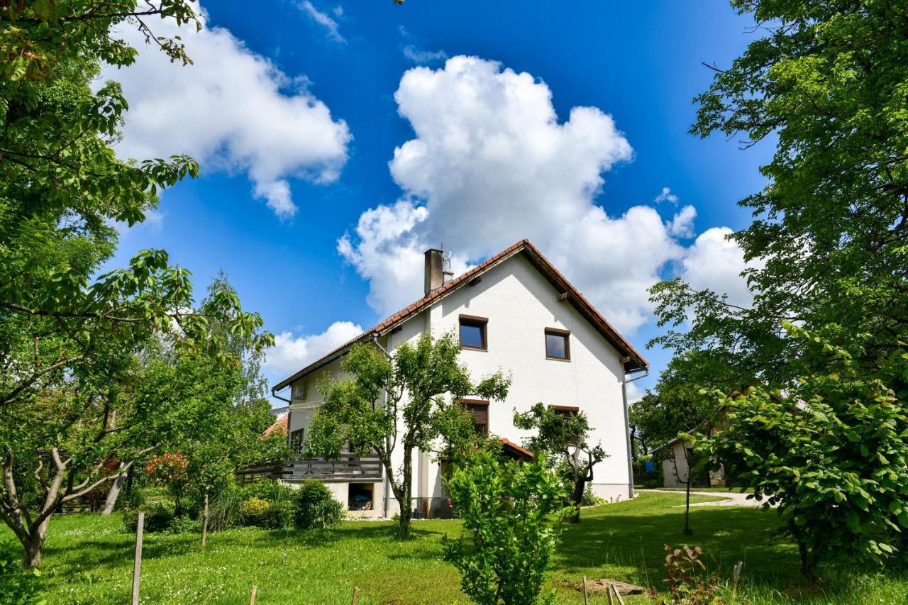 Apartment Murva Drežnik Grad Εξωτερικό φωτογραφία
